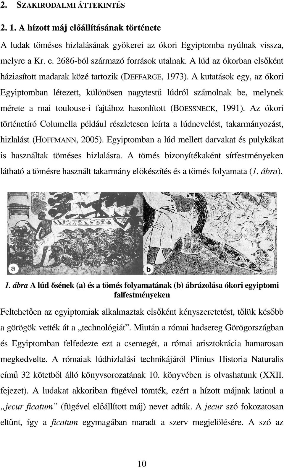 A kutatások egy, az ókori Egyiptomban létezett, különösen nagytestő lúdról számolnak be, melynek mérete a mai toulouse-i fajtához hasonlított (BOESSNECK, 1991).