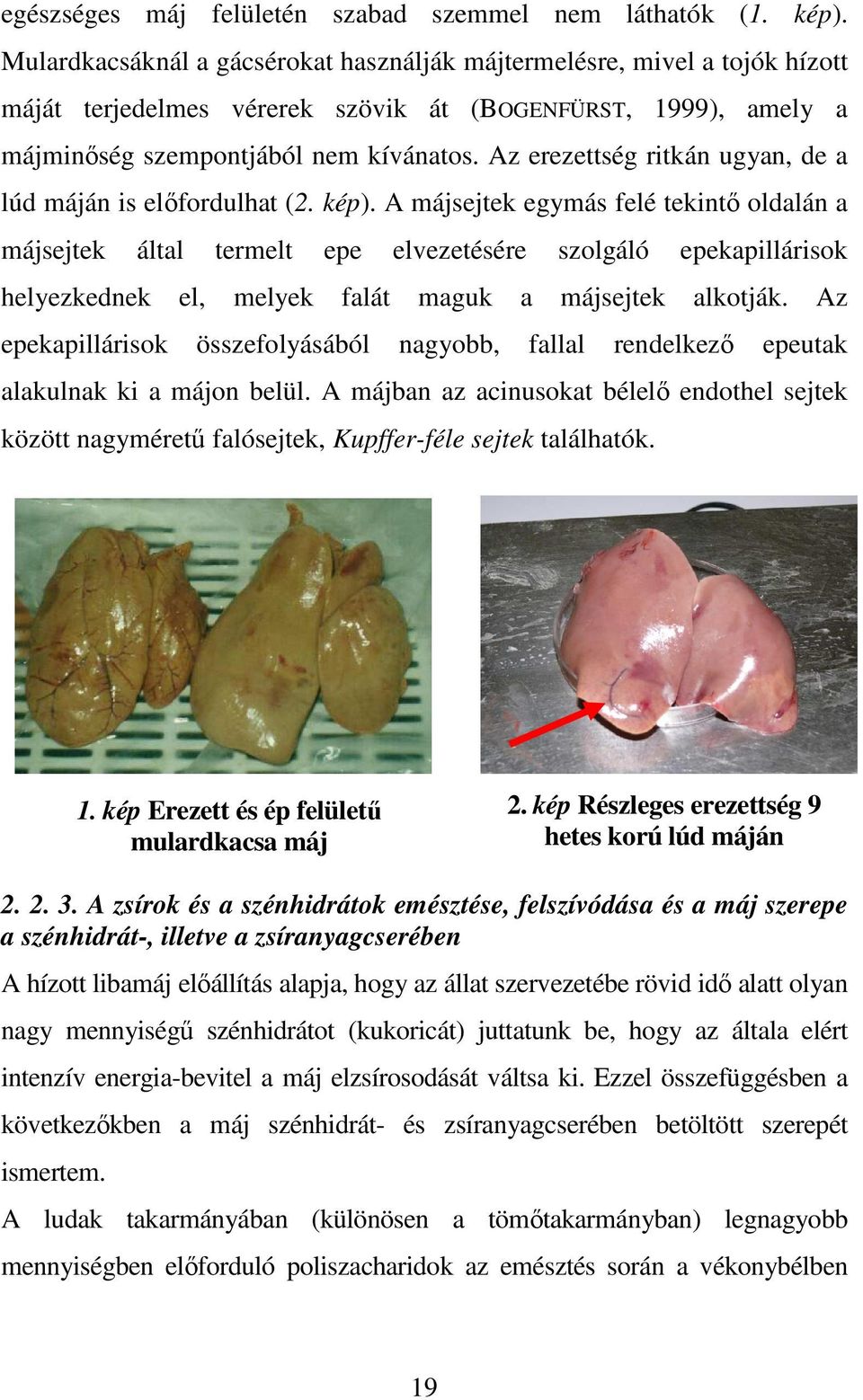 Az erezettség ritkán ugyan, de a lúd máján is elıfordulhat (2. kép).