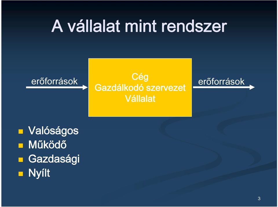 szervezet Vállalat