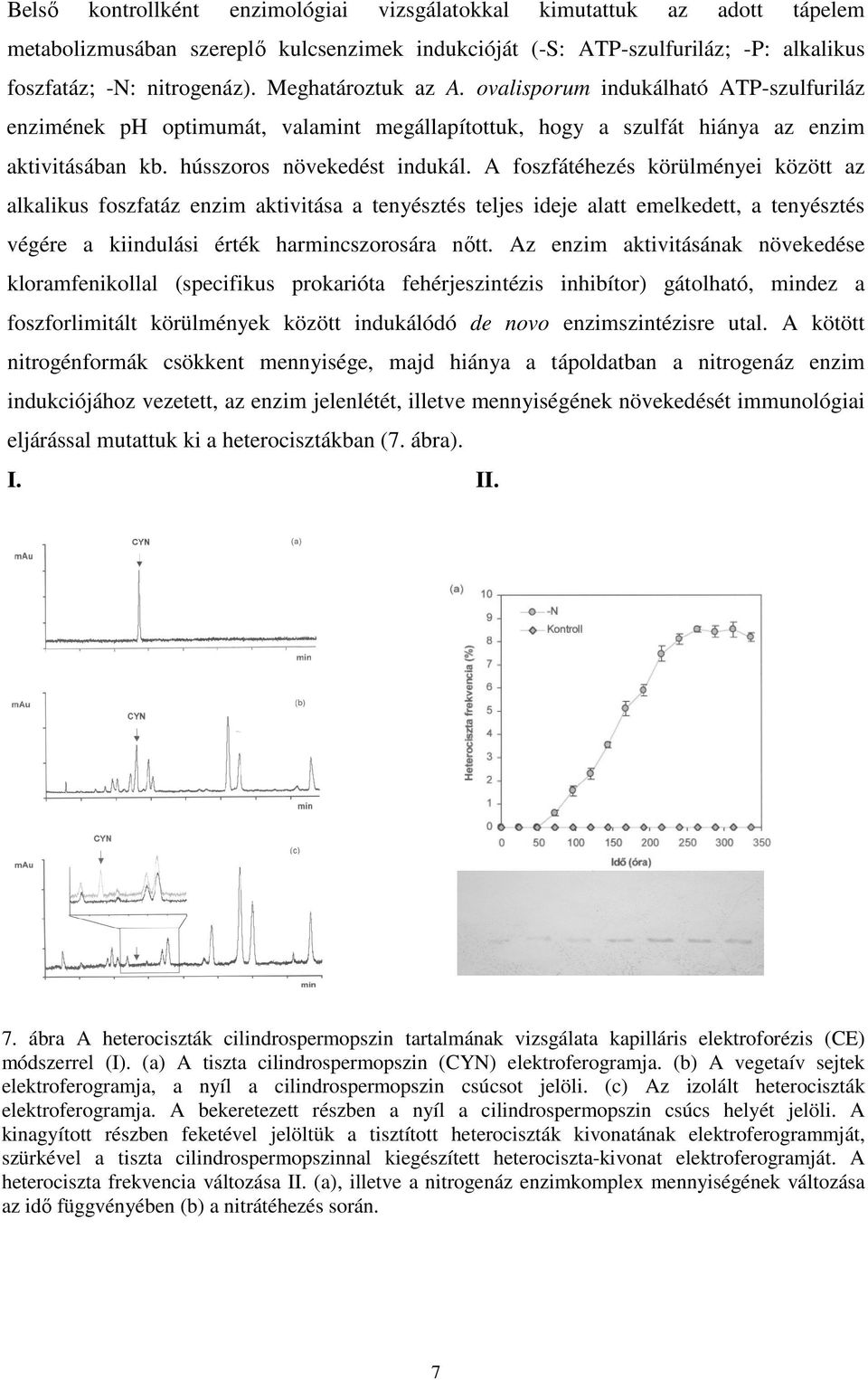 foszfátéhezés körülményei között az alkalikus foszfatáz enzim aktivitása a tenyésztés teljes ideje alatt emelkedett, a tenyésztés végére a kiindulási érték harmincszorosára nőtt Az enzim