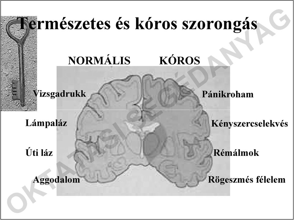 Aggodalom NORMÁLIS KÓROS