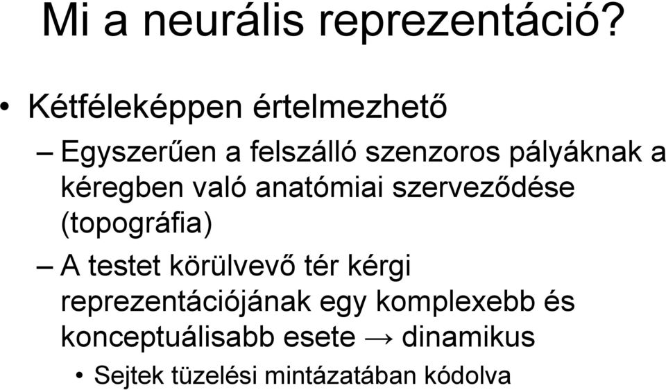 kéregben való anatómiai szerveződése (topográfia) A testet körülvevő