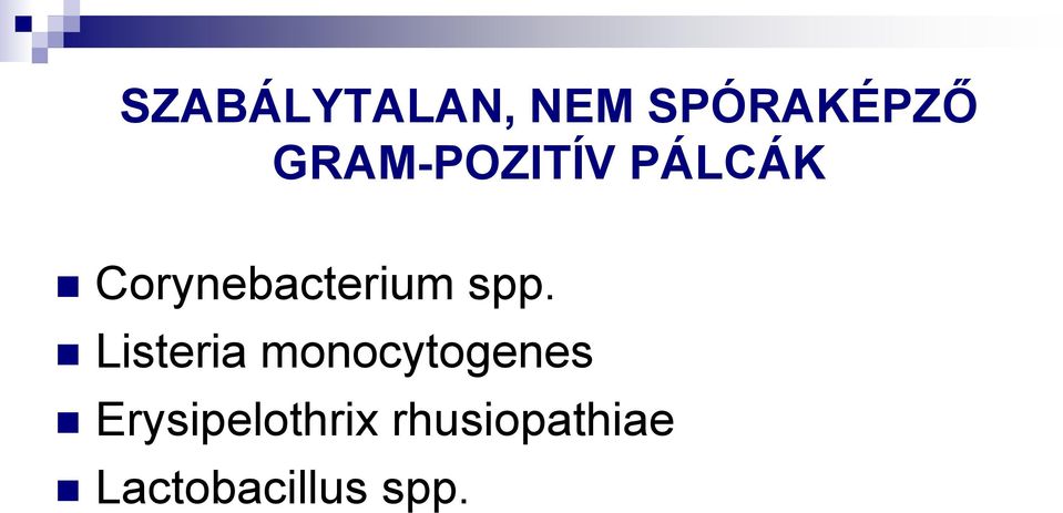 Corynebacterium spp.