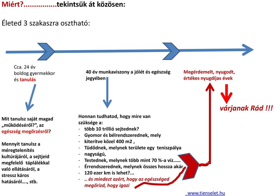 Mennyit tanulsz a méregtelenítés kultúrájáról, a sejtjeid megfelelő táplálékkal való ellátásáról, a stressz káros hatásáról., stb.