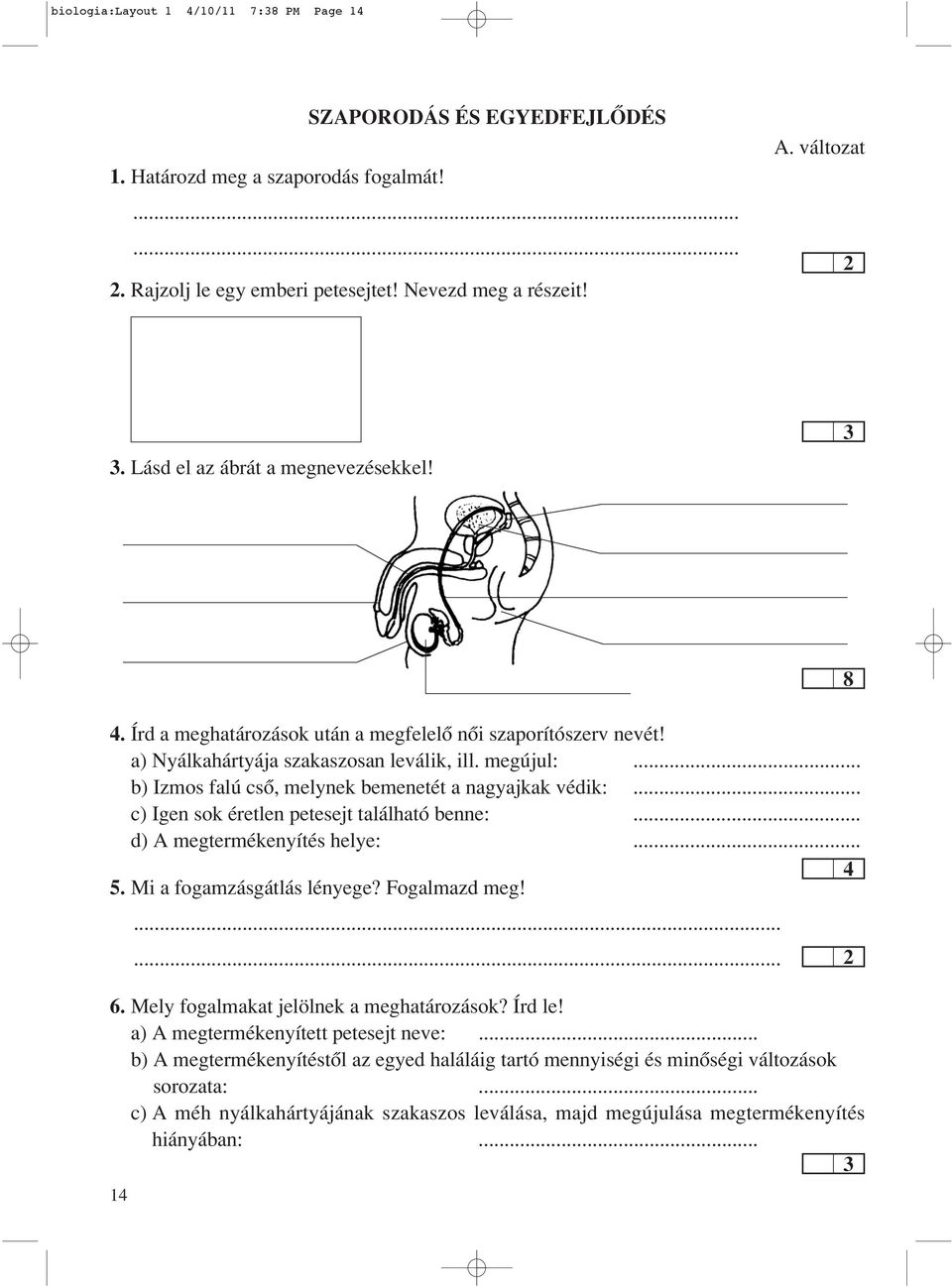 .. b) Iz mos fa lú csô, mely nek beme ne tét a nagy aj kak vé dik:... c) Igen sok éretlen petesejt található benne:... d) A megtermékenyítés helye:.... Mi a fogamzásgátlás lényege? Fogalmazd meg!