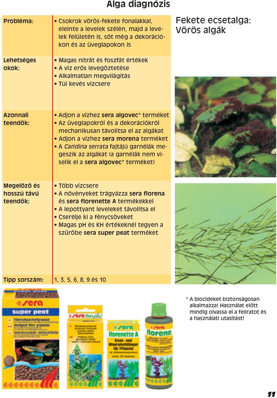 mechanikusan távolítsa el az algákat Adjon a vízhez sera morena terméket A Caridina serrata fajtájú garnélák megeszik az algákat (a garnélák nem viselik el a sera algovec* terméket) Megelızı és