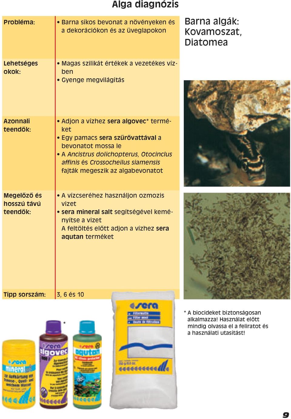 Crossocheilus siamensis fajták megeszik az algabevonatot Megelızı és hosszú távú A vízcseréhez használjon ozmozis vizet sera mineral salt segítségével keményítse a vizet A
