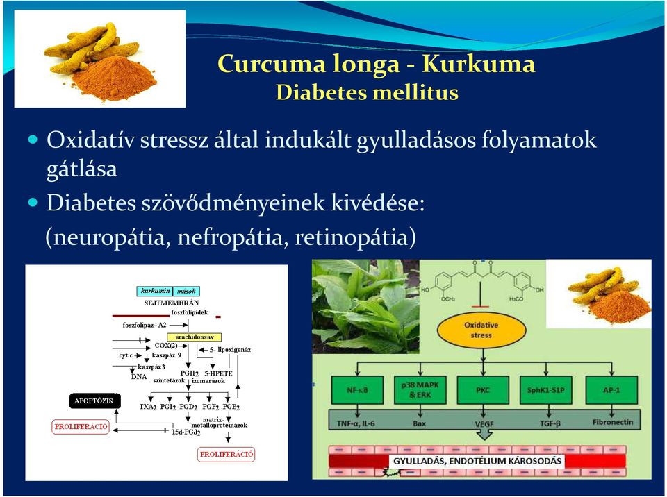 folyamatok gátlása Diabetes szövődményeinek