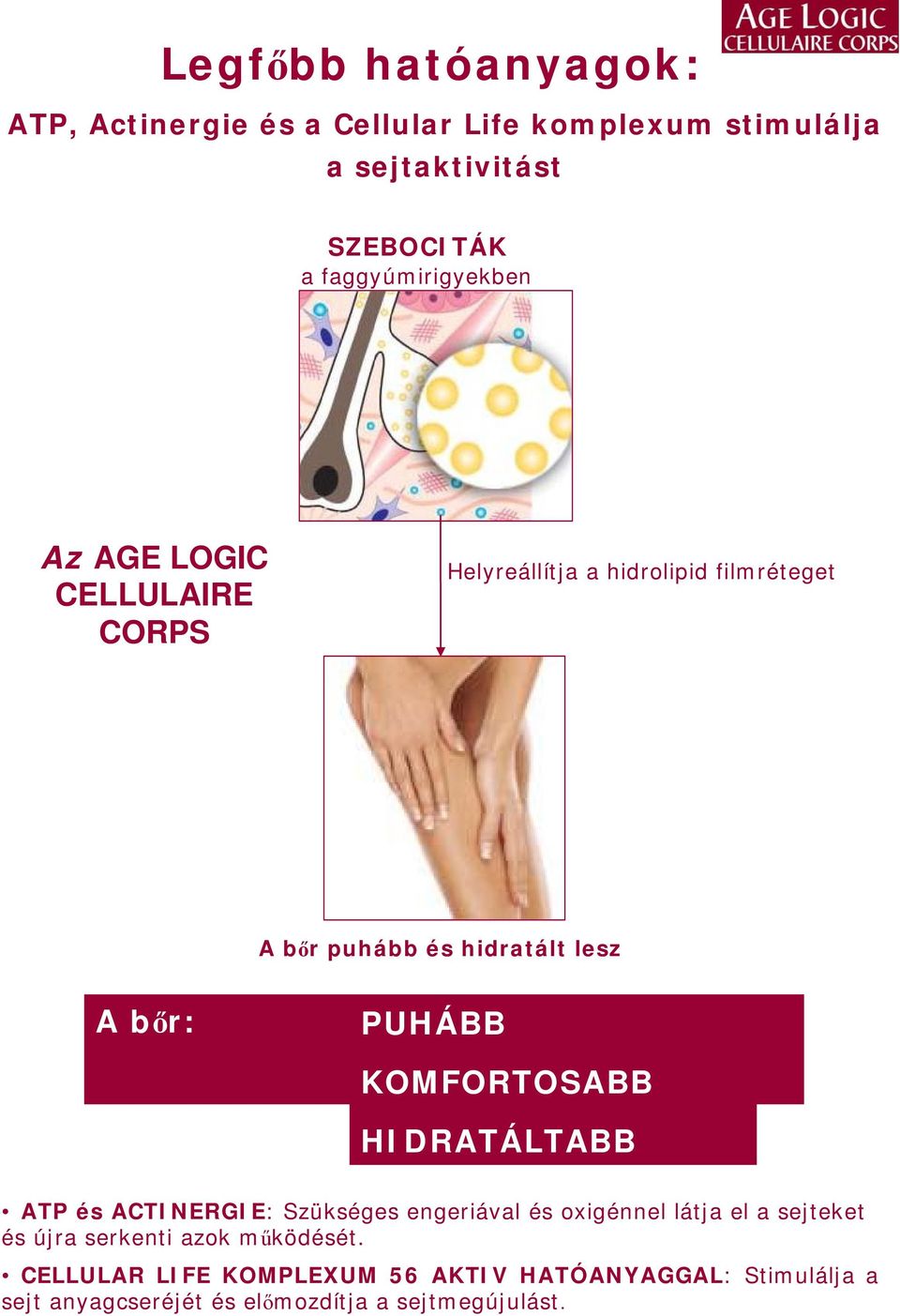 bőr: PUHÁBB KOMFORTOSABB HIDRATÁLTABB ATP és ACTINERGIE: Szükséges engeriával és oxigénnel látja el a sejteket és újra
