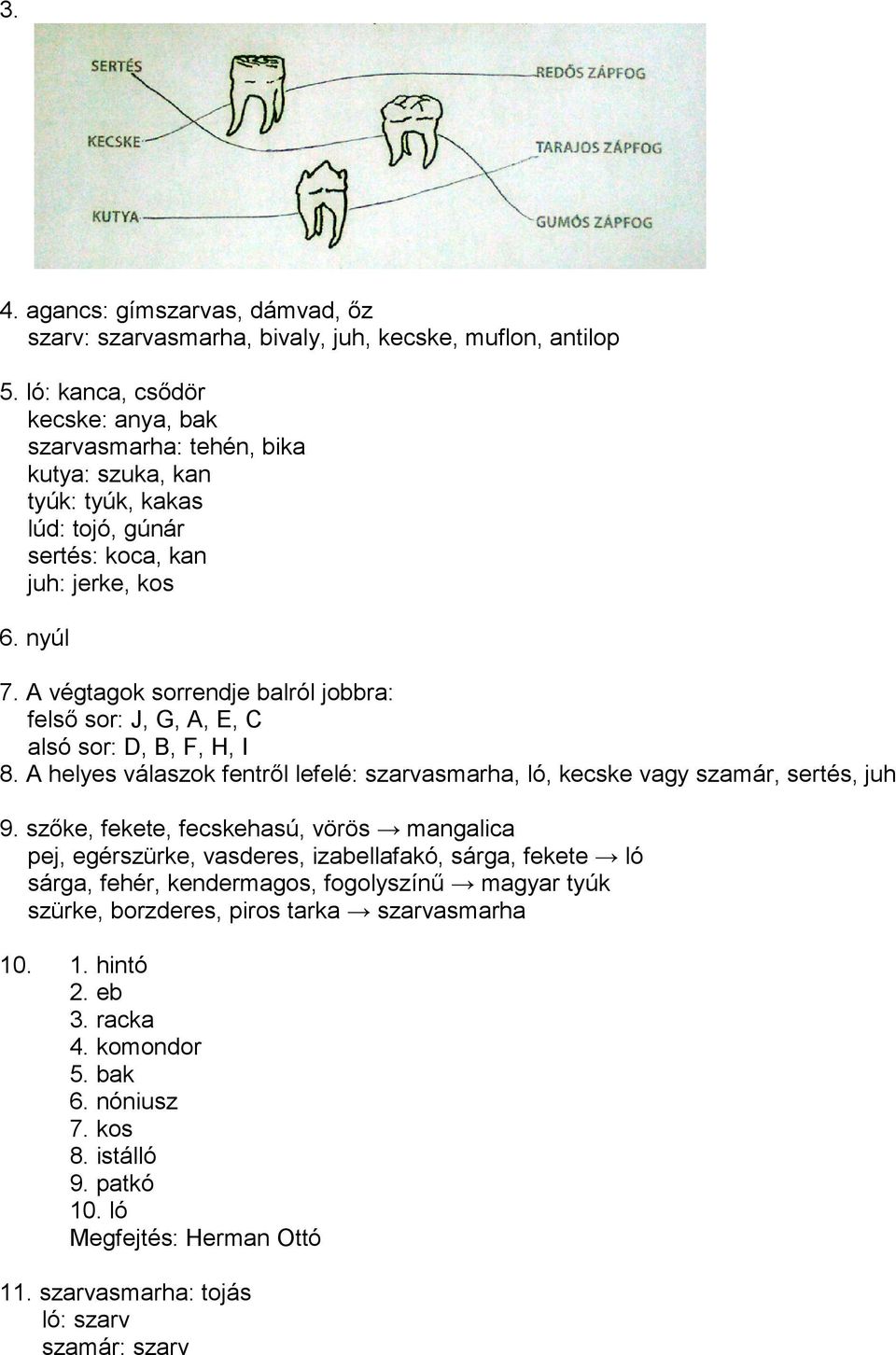 A végtagok sorrendje balról jobbra: felsı sor: J, G, A, E, C alsó sor: D, B, F, H, I 8. A helyes válaszok fentrıl lefelé: szarvasmarha, ló, kecske vagy szamár, sertés, juh 9.