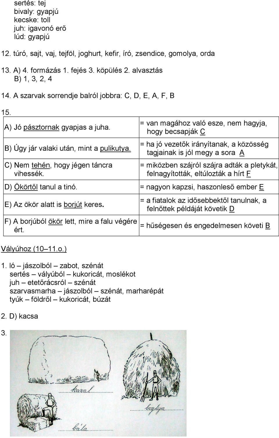 = van magához való esze, nem hagyja, hogy becsapják C = ha jó vezetık irányítanak, a közösség tagjainak is jól megy a sora A = miközben szájról szájra adták a pletykát, felnagyították, eltúlozták a