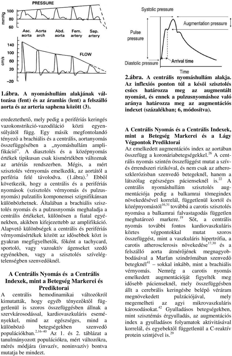 Egy másik megfontolandó tényezı a brachiális és a centrális, aortanyomás összefüggésében a nyomáshullám amplifikáció.