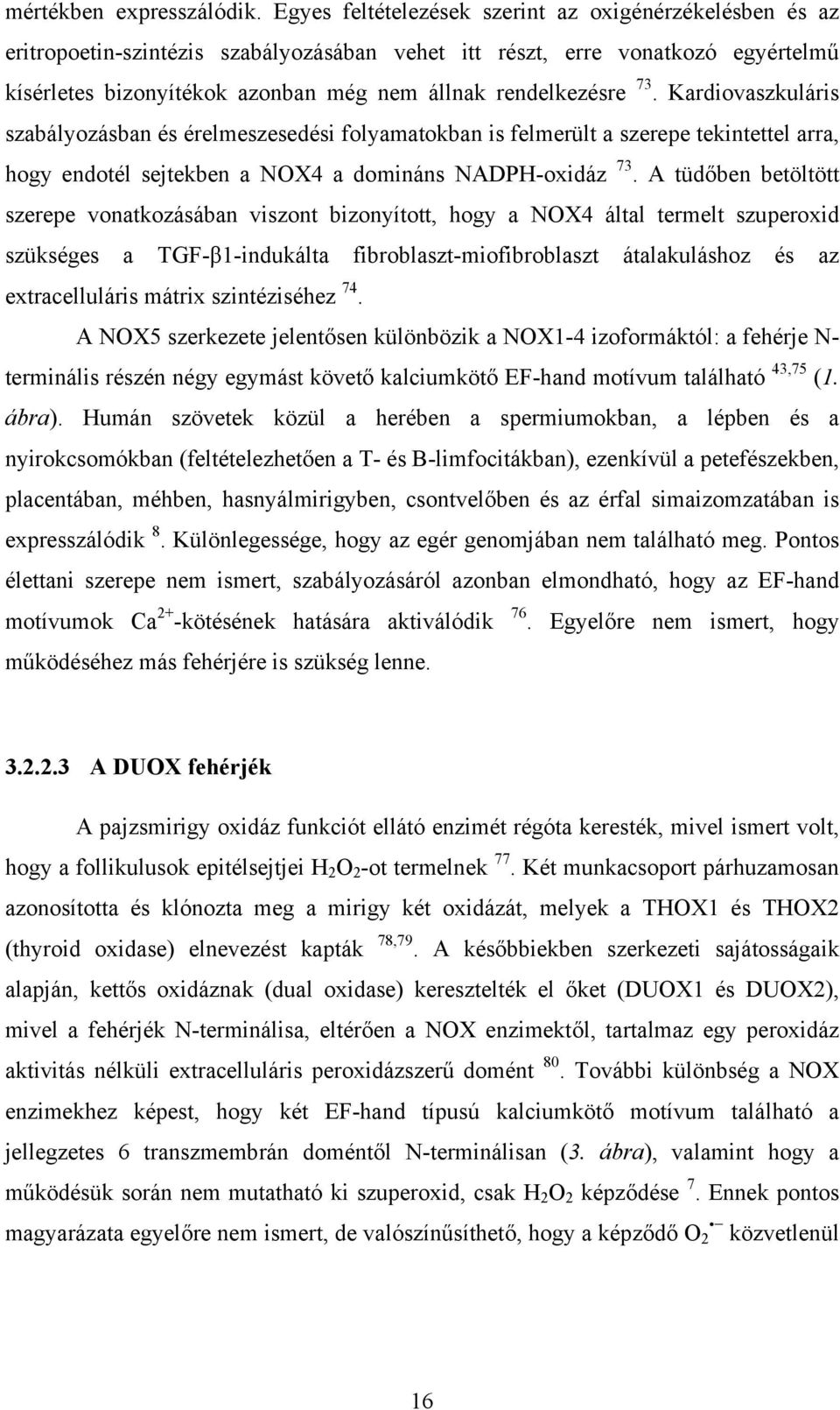 73. Kardiovaszkuláris szabályozásban és érelmeszesedési folyamatokban is felmerült a szerepe tekintettel arra, hogy endotél sejtekben a NOX4 a domináns NADPH-oxidáz 73.