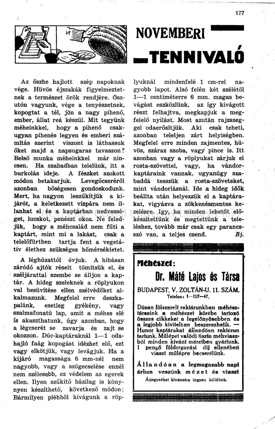 Mit tegyünk méheinkkel, hogy a pihenő csakugyan pihenés legyen és emberi számítás szerint viszont is láthassuk őket majd a napsugaras tavaszon? Belső munka méheinkkel már nincsen.