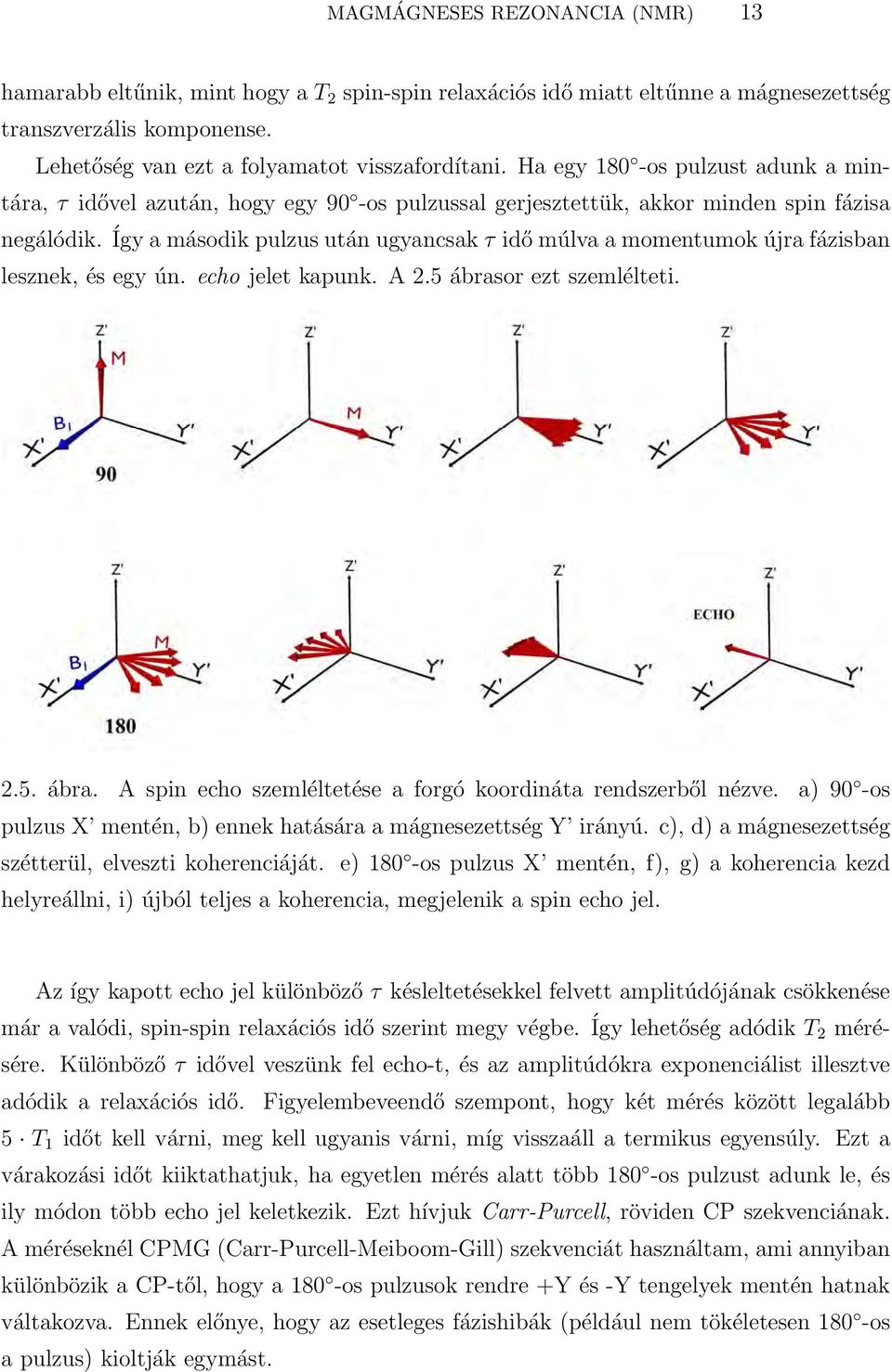 Így a második pulzus után ugyancsak τ idő múlva a momentumok újra fázisban lesznek, és egy ún. echo jelet kapunk. A 2.5 ábrasor ezt szemlélteti. 2.5. ábra. A spin echo szemléltetése a forgó koordináta rendszerből nézve.