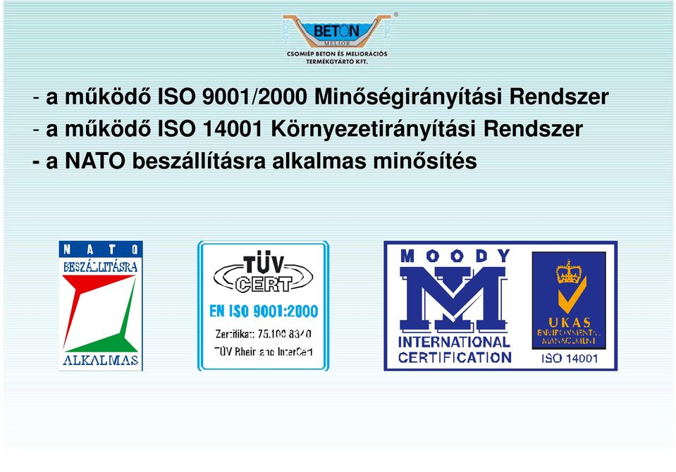 működő ISO 14001