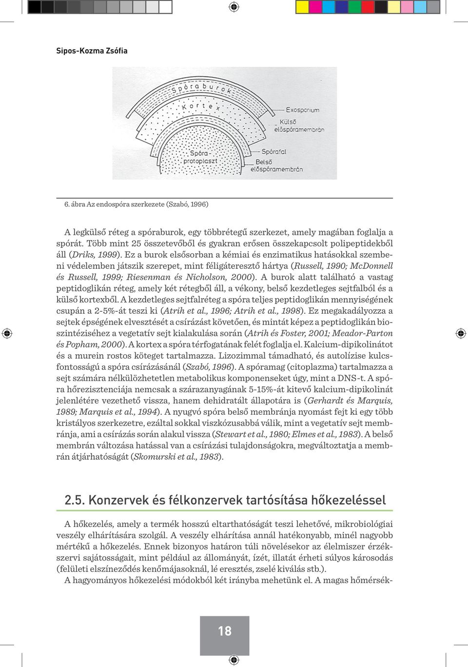 Ez a burok elsősorban a kémiai és enzimatikus hatásokkal szembeni védelemben játszik szerepet, mint féligáteresztő hártya (Russell, 1990; McDonnell és Russell, 1999; Riesenman és Nicholson, 2000).