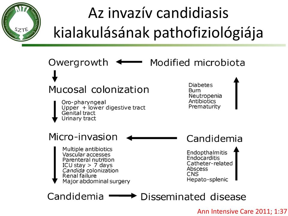 kialakulásának