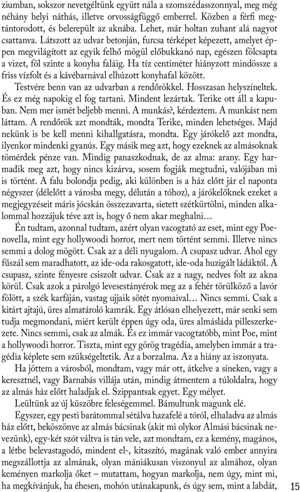 Látszott az udvar betonján, furcsa térképet képezett, amelyet éppen megvilágított az egyik felhő mögül előbukkanó nap, egészen fölcsapta a vizet, föl szinte a konyha faláig.