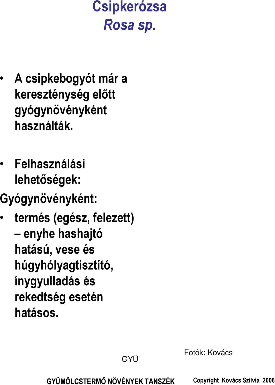 Felhasználási lehetőségek: Gyógynövényként: termés (egész, felezett)