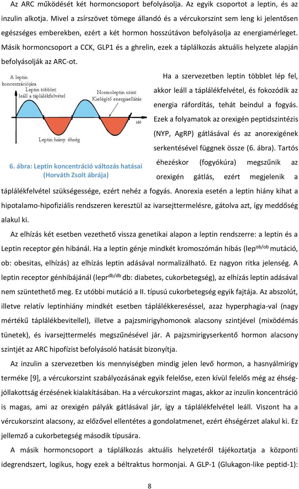 Másik hormoncsoport a CCK, GLP1 és a ghrelin, ezek a táplálkozás aktuális helyzete alapján befolyásolják az ARC-ot. 6.