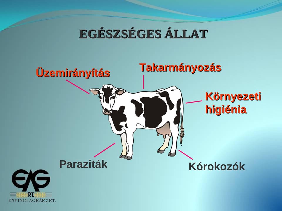 Takarmányozás