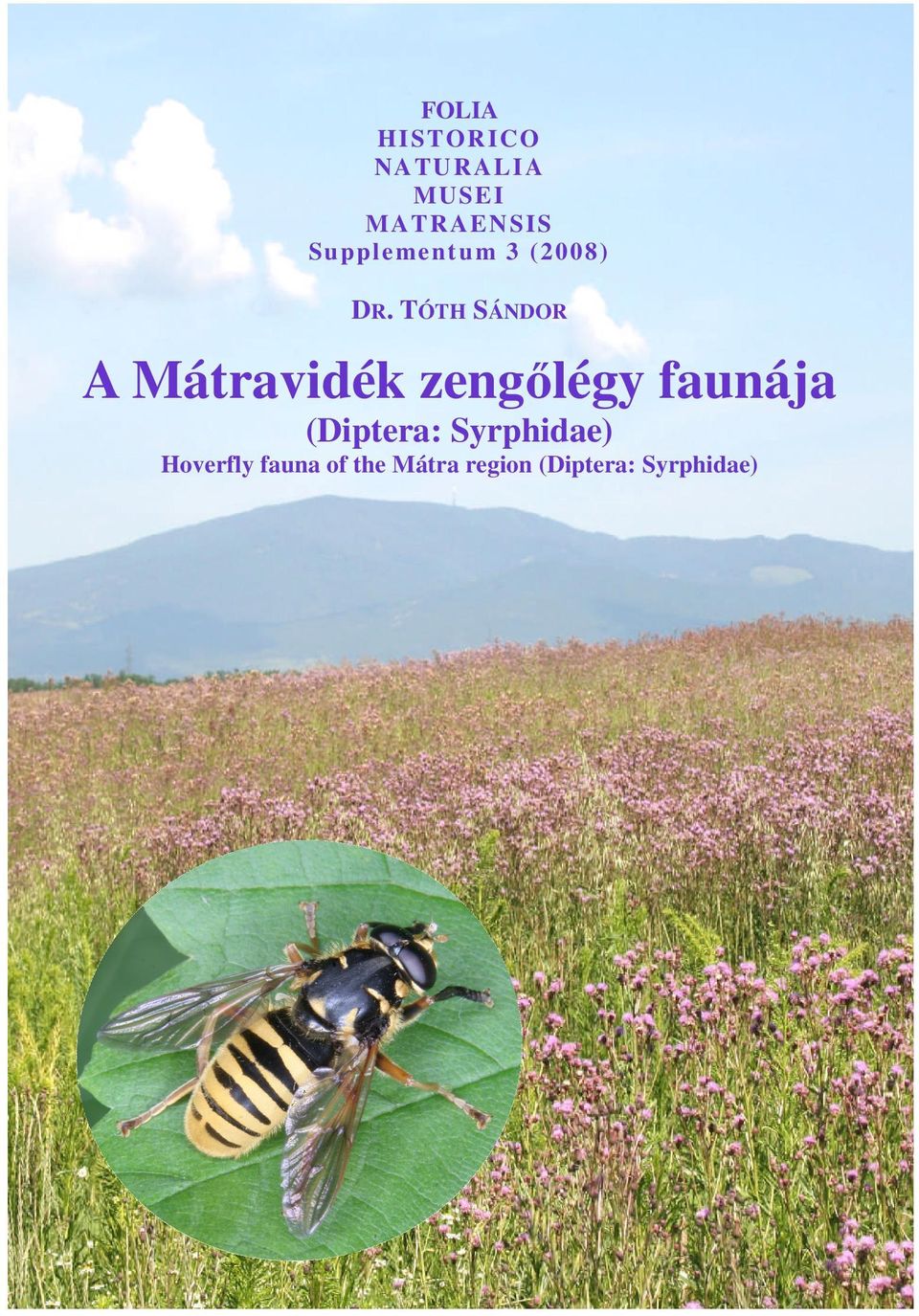 TÓTH SÁNDOR A Mátravidék zengőlégy faunája (Diptera: