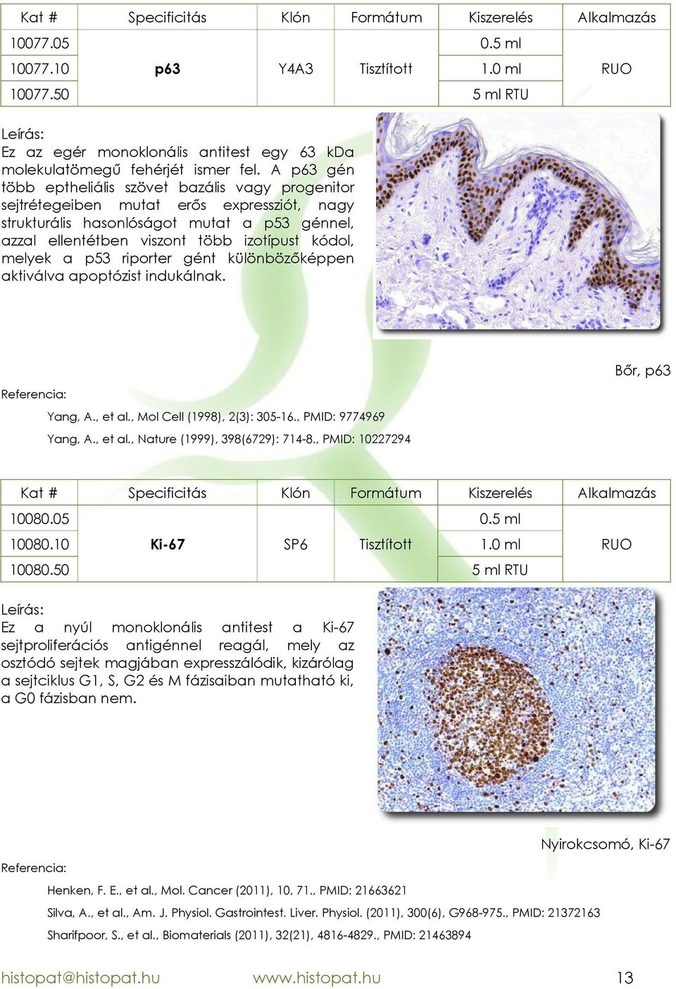 melyek a p53 riporter gént különbözőképpen aktiválva apoptózist indukálnak. Bőr, p63 Yang, A., et al., Mol Cell (1998), 2(3): 30516., PMID: 9774969 Yang, A., et al., Nature (1999), 398(6729): 7148.