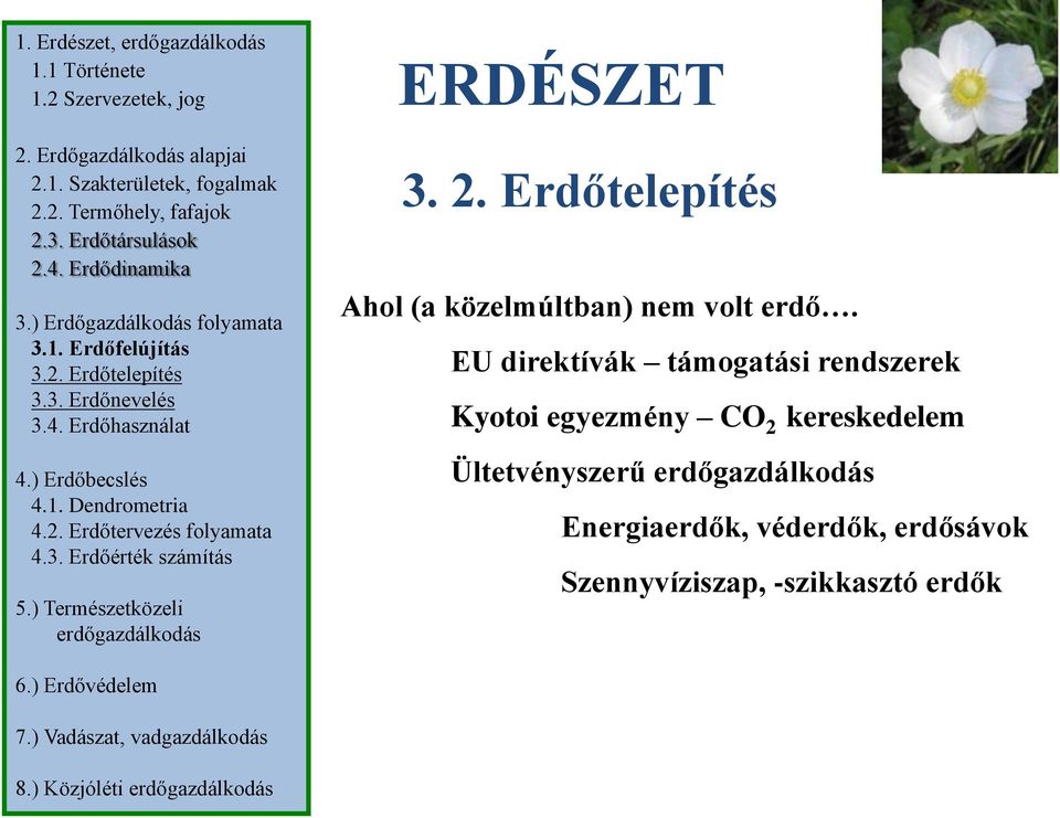 3. Erdőérték számítás 5.) Természetközeli erdőgazdálkodás ERDÉSZET 3. 2. Erdőtelepítés Ahol (a közelmúltban) nem volt erdő.