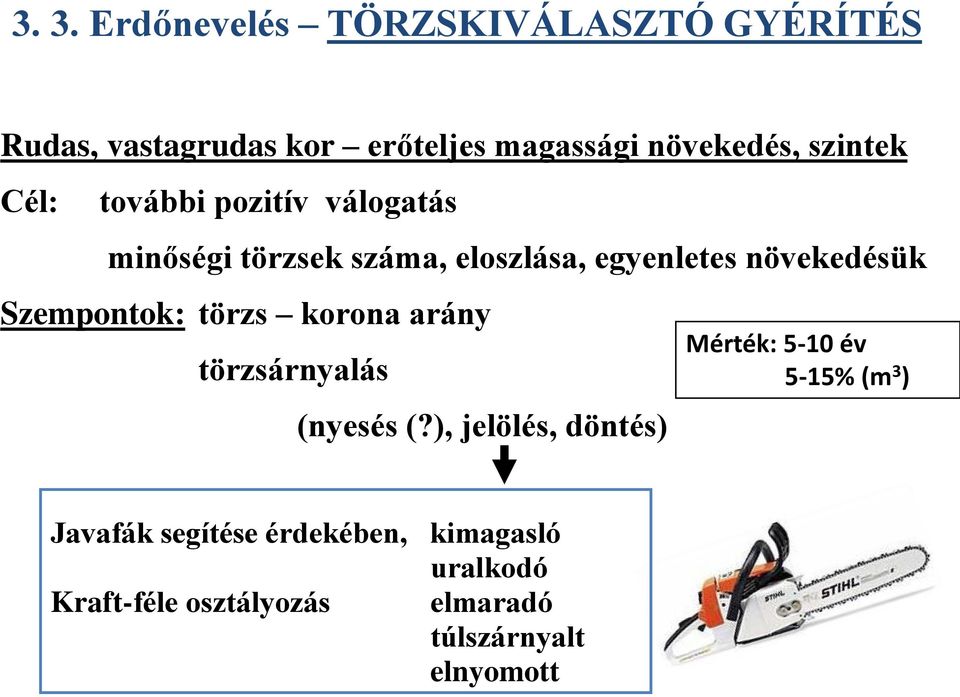 Szempontok: törzs korona arány törzsárnyalás (nyesés (?