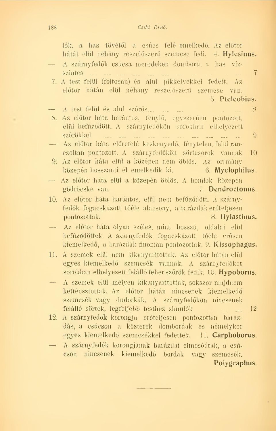 Az eltör háta harántos, fényl, egyszeren pontozott, elül befzdött. A szárnyfedkön sorokban elhelyezett szrökkel............................_.