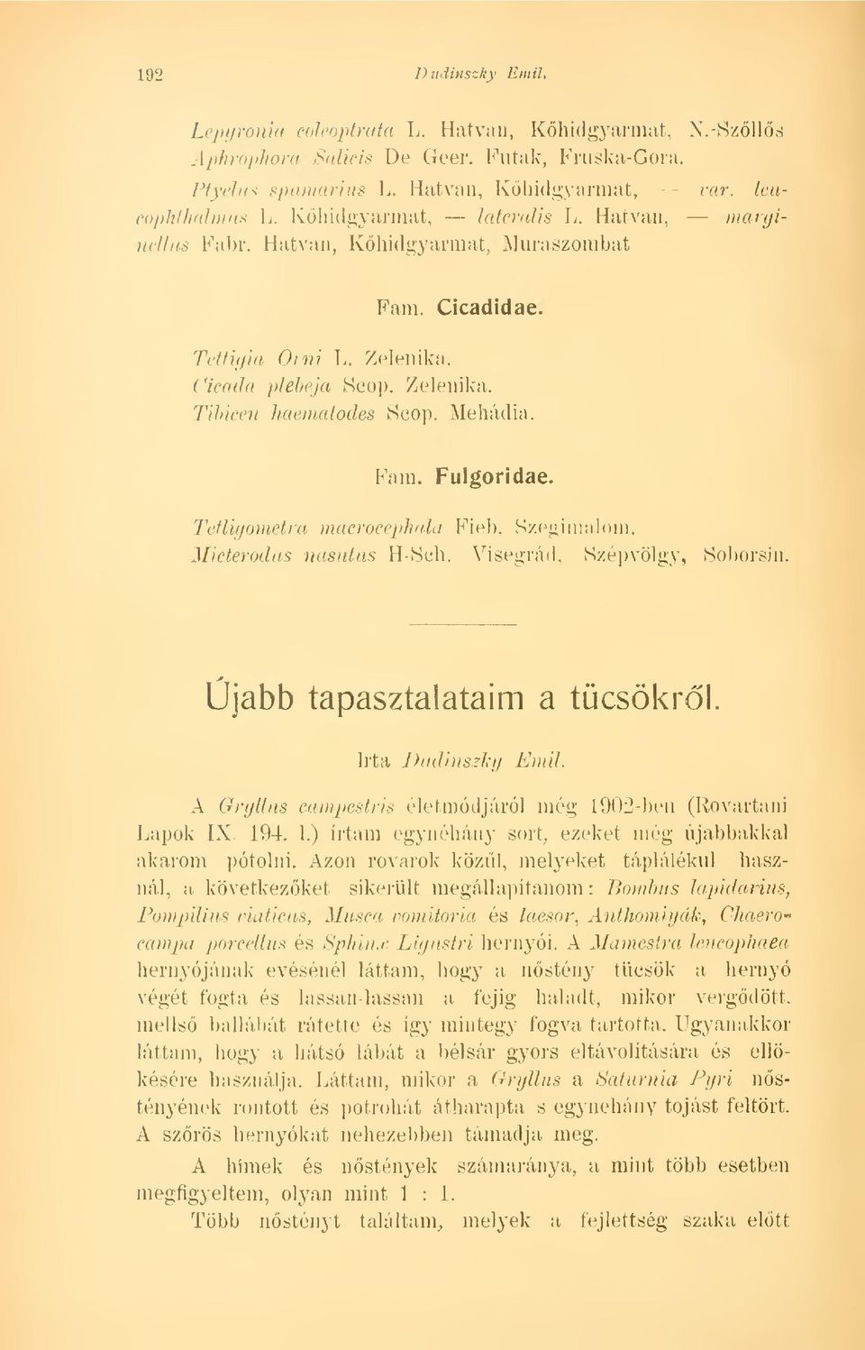 Tetligometra macrocephala Fieb. Szegimalom. Miderodus nasutus H-Seh. Visegrád, Szépvölgy, Soltorsin. Újabb tapasztalataim a tücsökrl. Irta Dudinszky Enni.