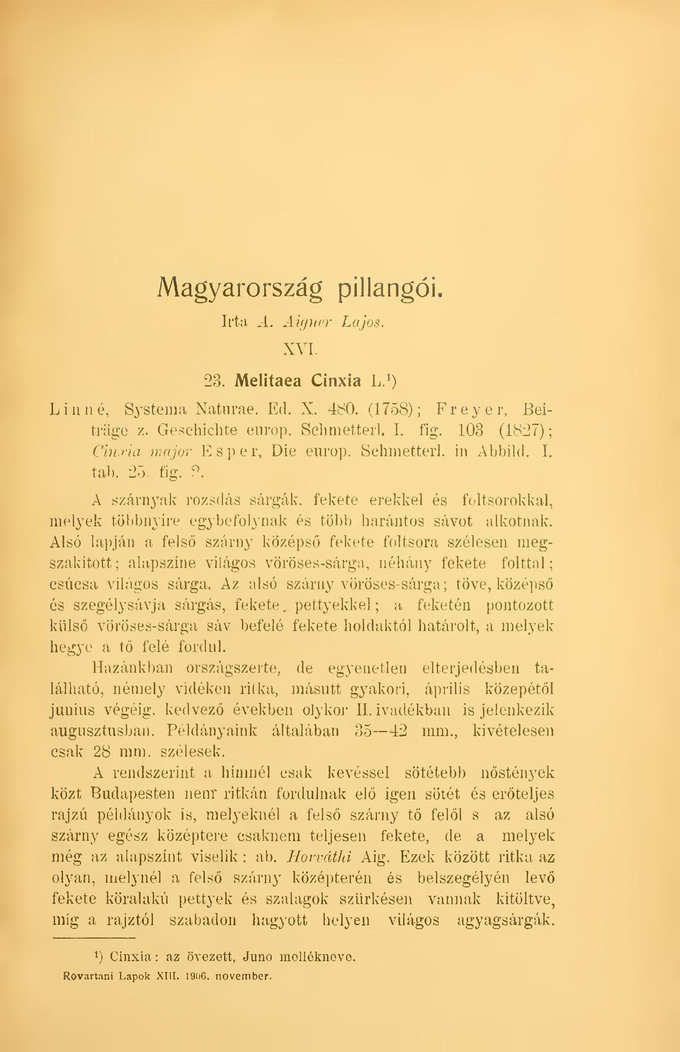 A szárnyak rozsdás sárgák, fekete erekkel és foltsorokkal, melyek többnyire egybefolynak és több harántos sávot alkotnak.