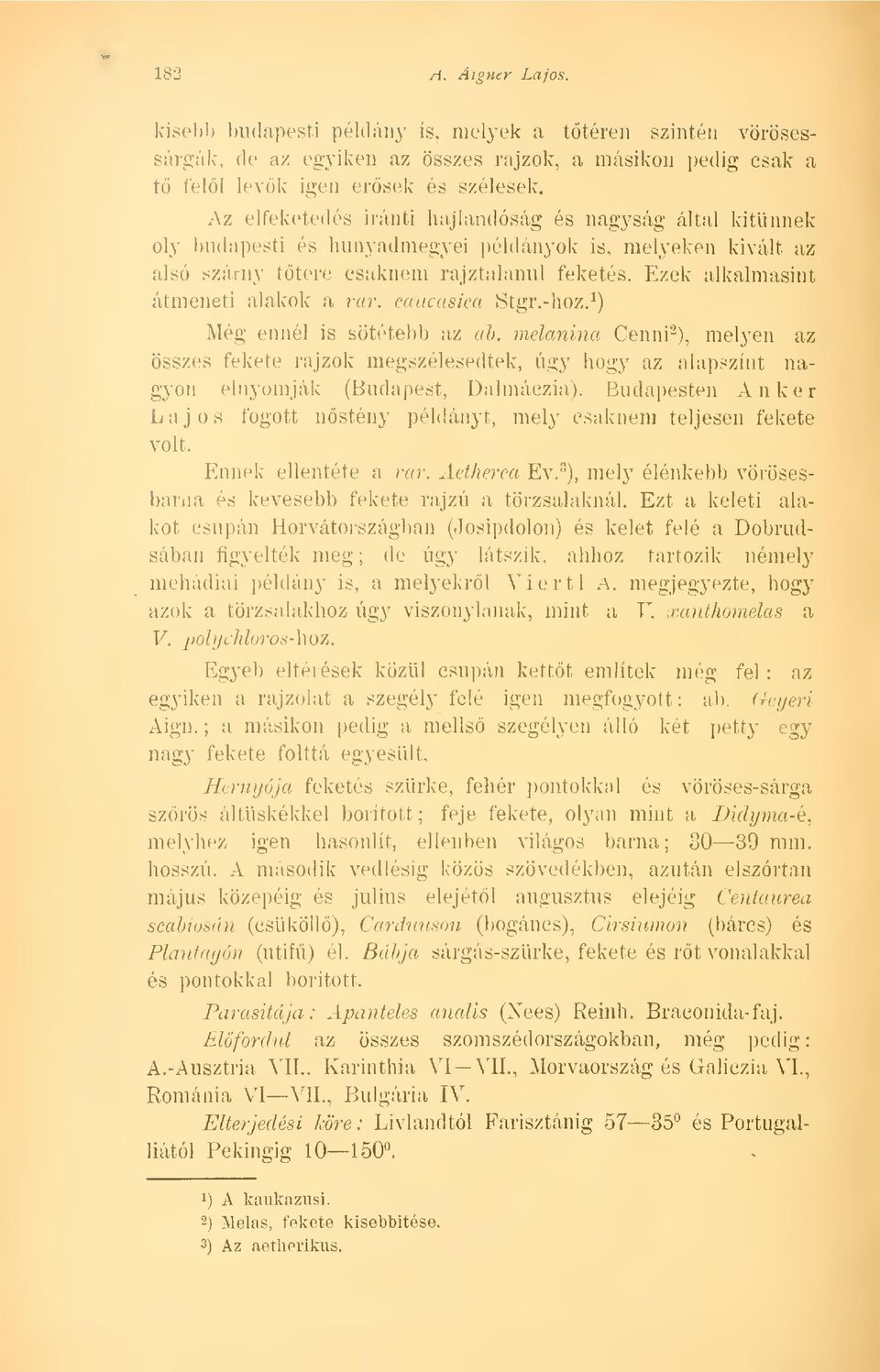 Ezek alkalmasint átmeneti alakok a var. caucasica Stgr.-hoz. 1 ) Még ennél is sötétebb az ab.