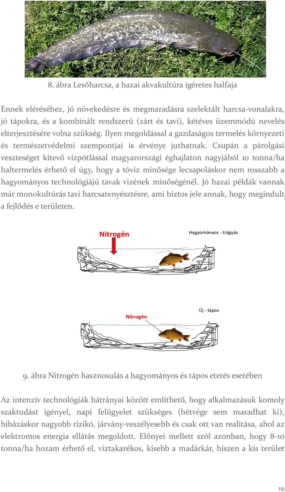 Csupán a párolgási veszteséget kitevő vízpótlással magyarországi éghajlaton nagyjából 10 tonna/ha haltermelés érhető el úgy, hogy a tóvíz minősége lecsapoláskor nem rosszabb a hagyományos