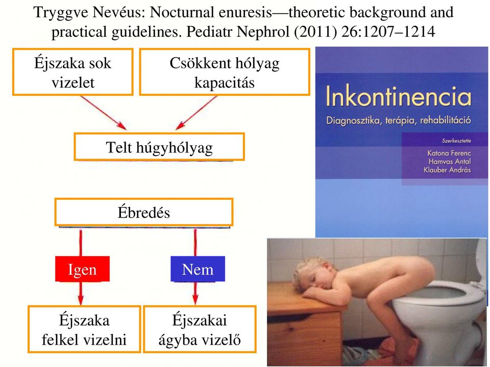 Pediatr Nephrol (2011) 26:1207 1214 Éjszaka sok vizelet