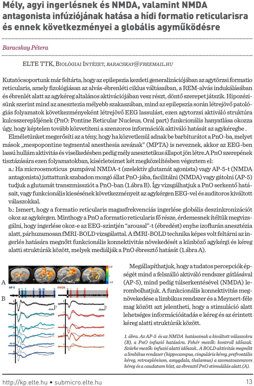 hu Kutatócsoportunk már feltárta, hogy az epilepszia kezdeti generalizációjában az agytörzsi formatio reticularis, amely fizológiásan az alvás-ébrenléti ciklus váltásaiban, a REm-alvás indukálásában