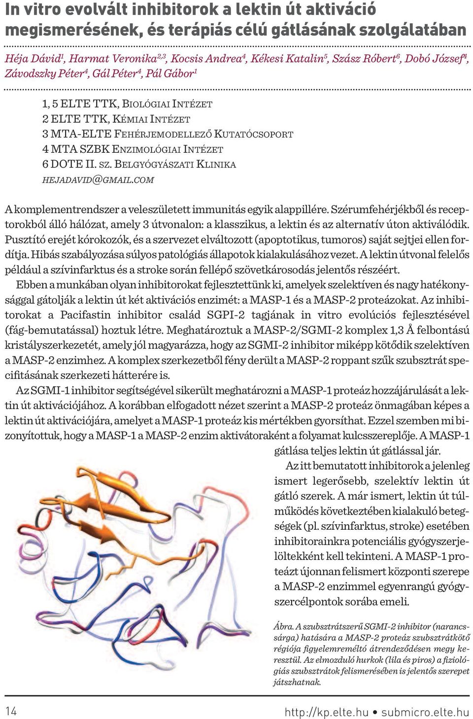 ii. sz. BELgyógyászaTi KLiniKa hejadavid@gmail.com a komplementrendszer a veleszületett immunitás egyik alappillére.