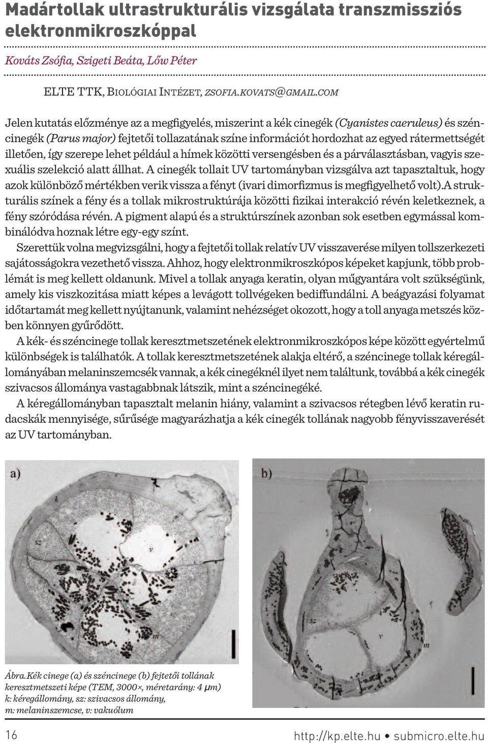 illetően, így szerepe lehet például a hímek közötti versengésben és a párválasztásban, vagyis szexuális szelekció alatt állhat.