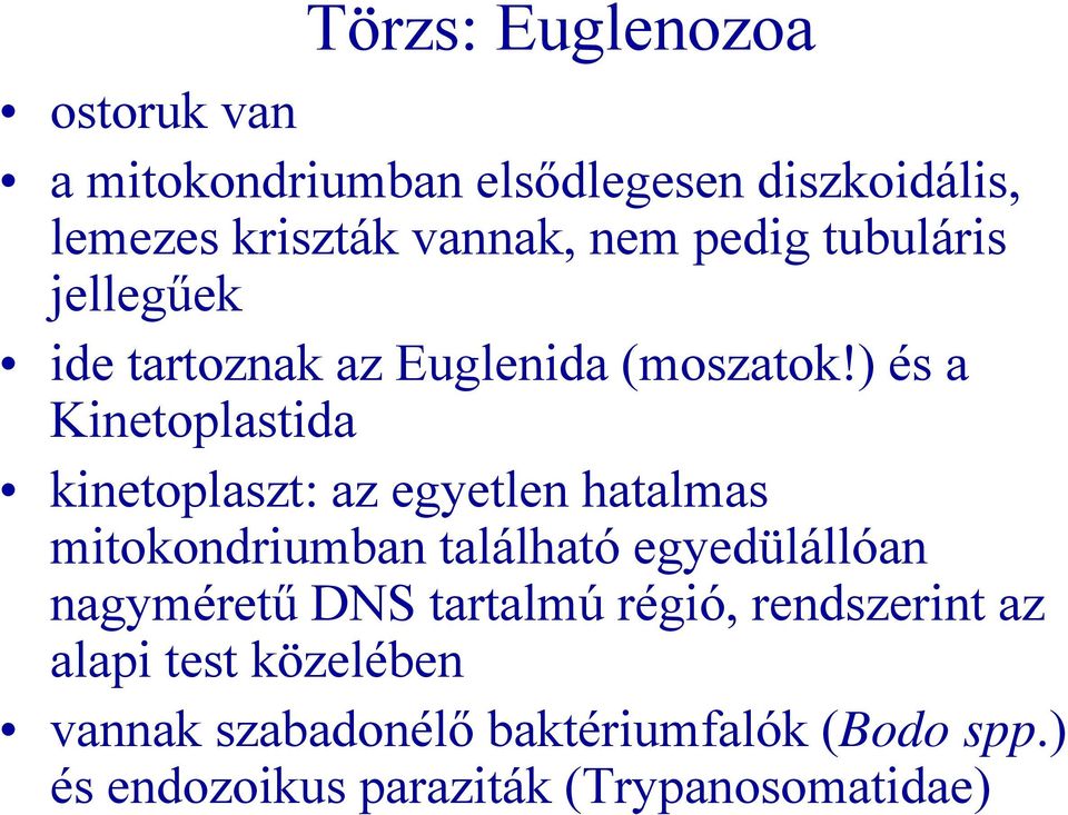 ) és a Kinetoplastida kinetoplaszt: az egyetlen hatalmas mitokondriumban található egyedülállóan