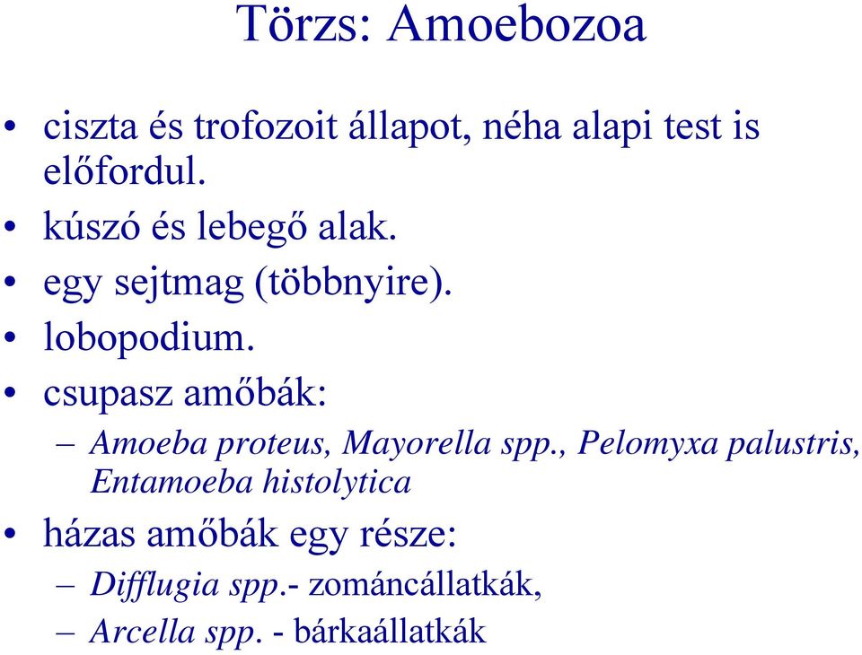 csupasz amőbák: Amoeba proteus, Mayorella spp.