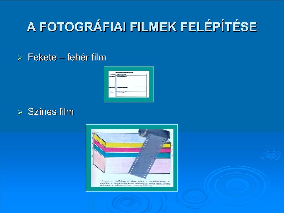 FELÉPÍTÉSE