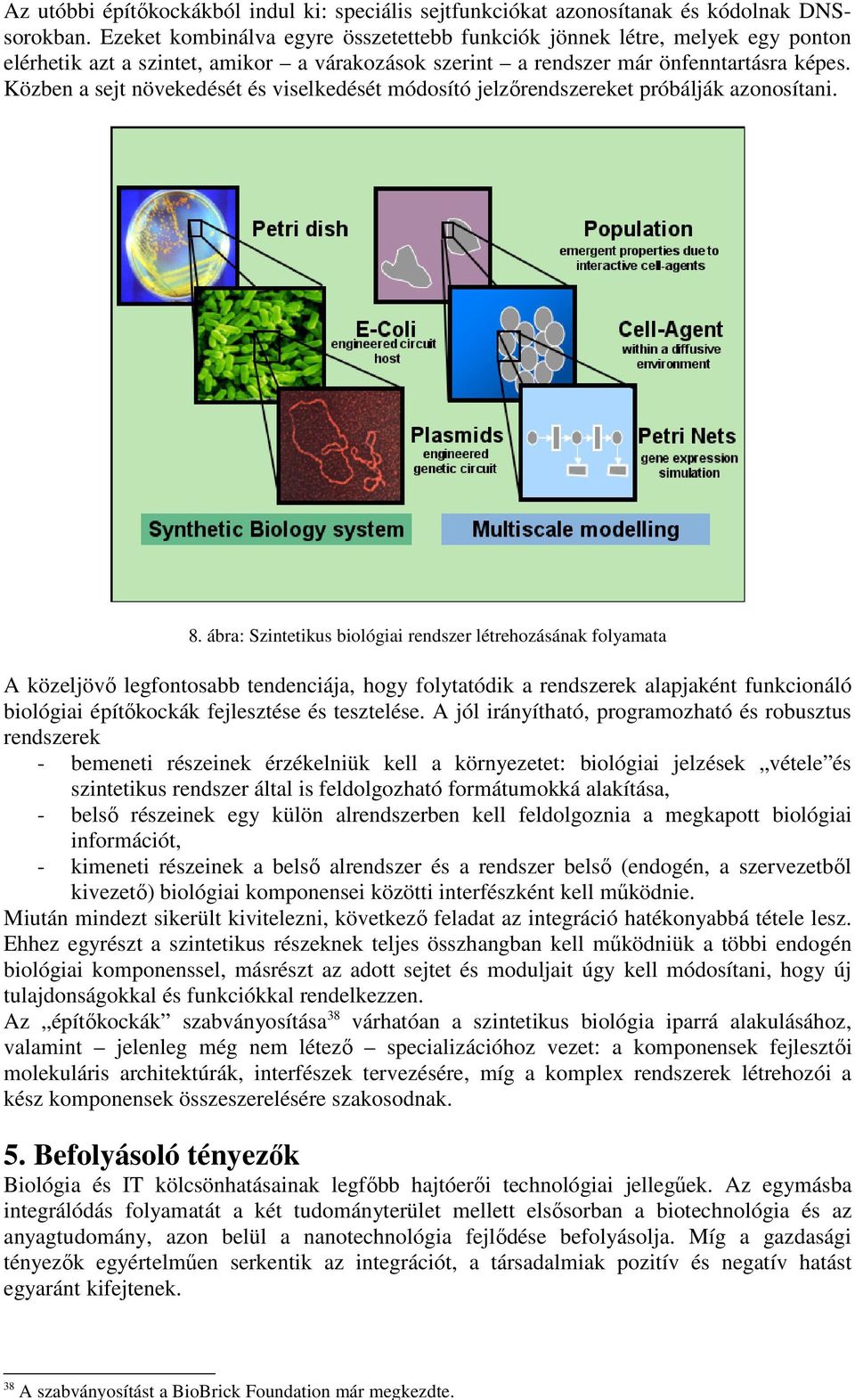 Közben a sejt növekedését és viselkedését módosító jelzőrendszereket próbálják azonosítani. 8.