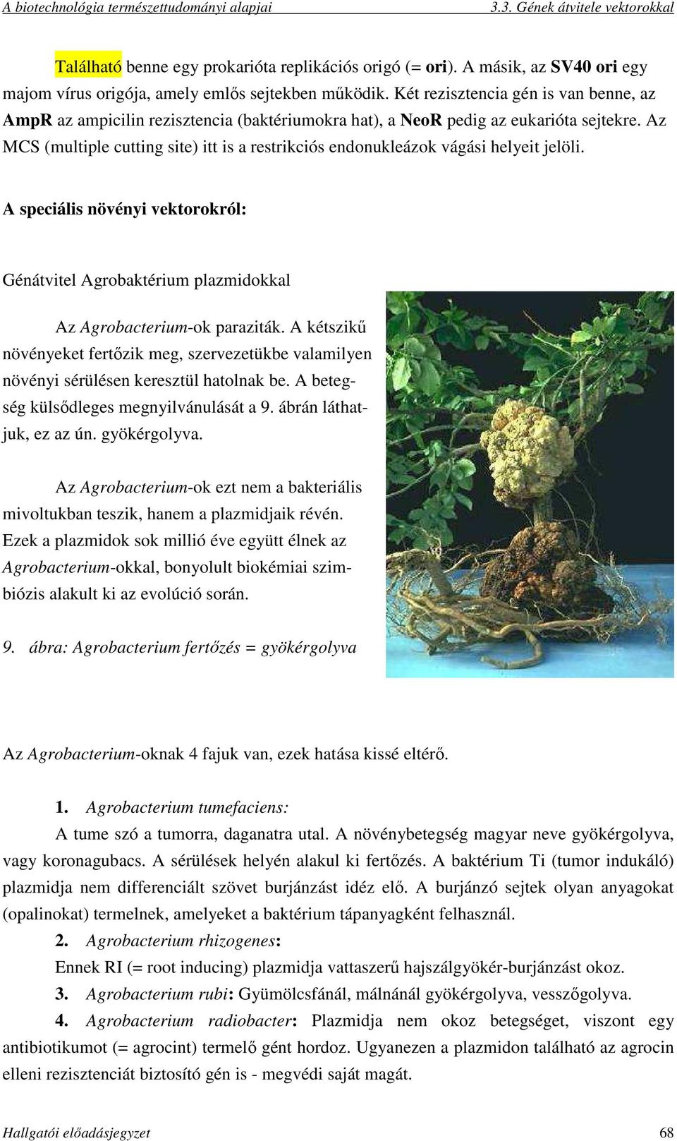 Az MCS (multiple cutting site) itt is a restrikciós endonukleázok vágási helyeit jelöli. A speciális növényi vektorokról: Génátvitel Agrobaktérium plazmidokkal Az Agrobacterium-ok paraziták.