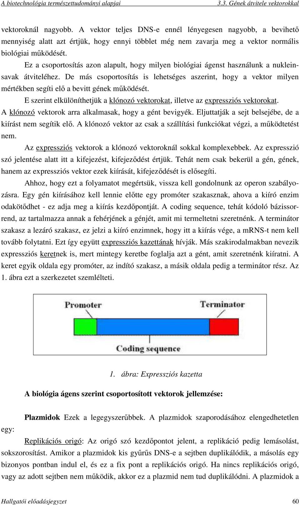 De más csoportosítás is lehetséges aszerint, hogy a vektor milyen mértékben segíti elő a bevitt gének működését. E szerint elkülöníthetjük a klónozó vektorokat, illetve az expressziós vektorokat.