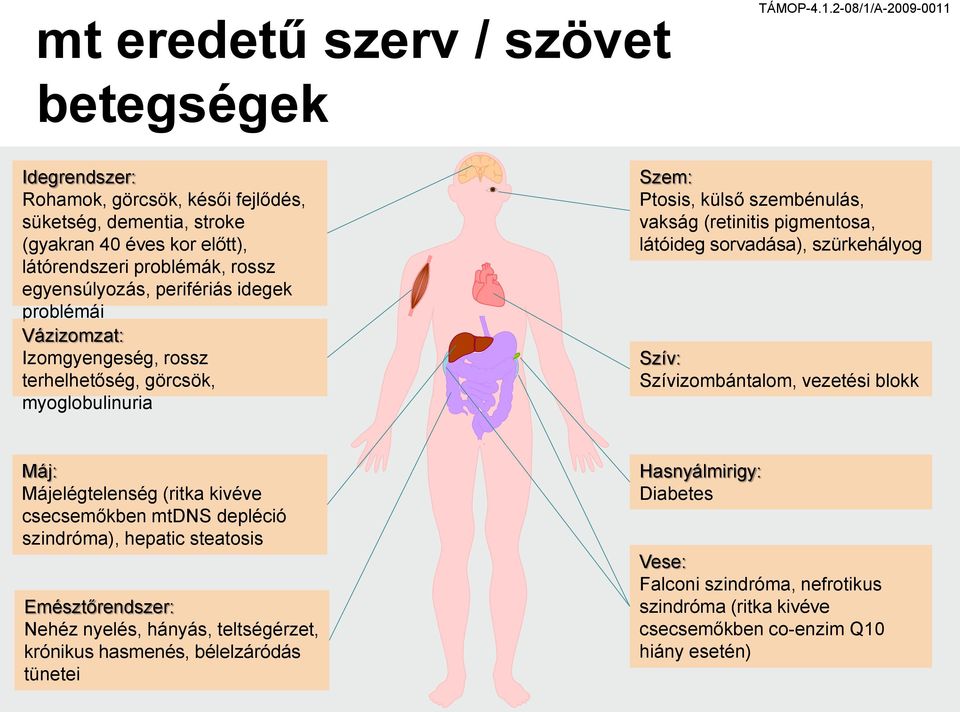 problémái Vázizomzat: Izomgyengeség, rossz terhelhetőség, görcsök, myoglobulinuria Szem: Ptosis, külső szembénulás, vakság (retinitis pigmentosa, látóideg sorvadása), szürkehályog Szív: