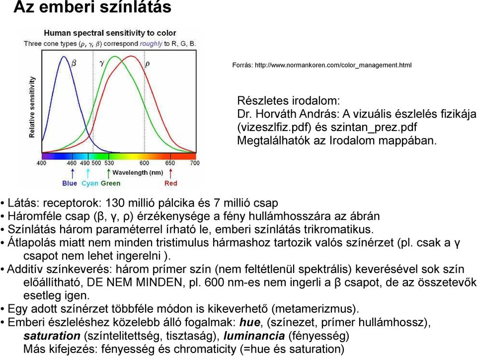 Látás: receptorok: 130 millió pálcika és 7 millió csap Háromféle csap (β, γ, ρ) érzékenysége a fény hullámhosszára az ábrán Színlátás három paraméterrel írható le, emberi színlátás trikromatikus.