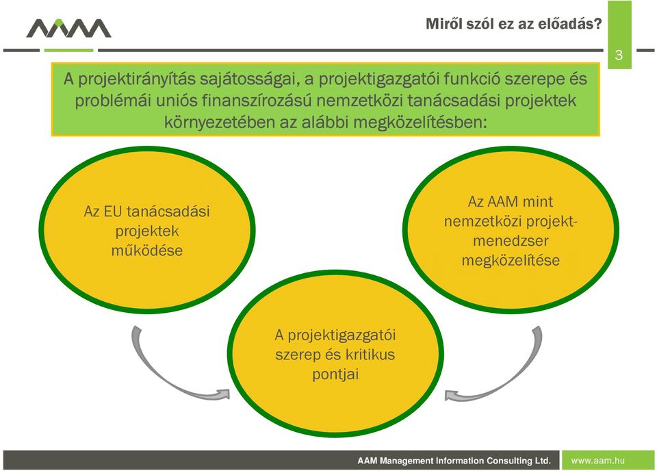 uniós finanszírozású nemzetközi tanácsadási projektek környezetében az alábbi