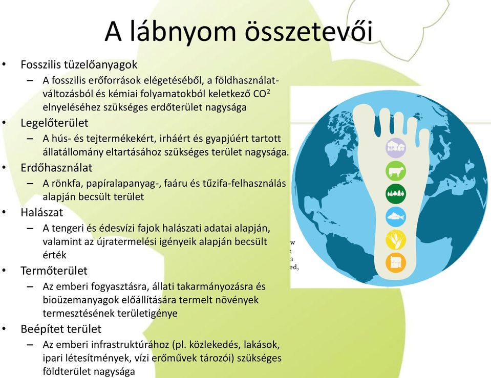 Erdőhasználat A rönkfa, papíralapanyag-, faáru és tűzifa-felhasználás alapján becsült terület Halászat A tengeri és édesvízi fajok halászati adatai alapján, valamint az újratermelési igényeik alapján