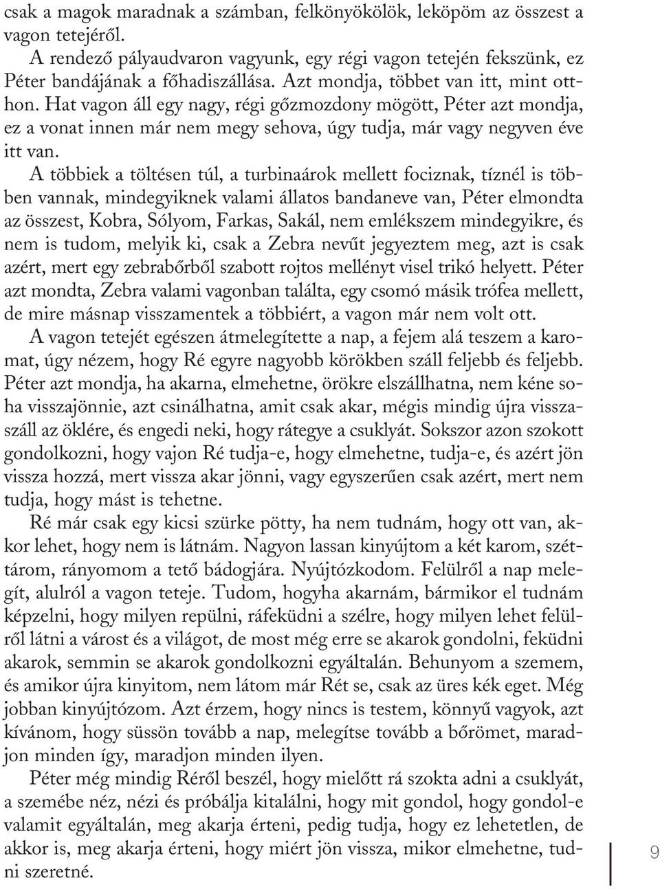 A többiek a töltésen túl, a turbinaárok mellett fociznak, tíznél is többen vannak, mindegyiknek valami állatos bandaneve van, Péter elmondta az összest, Kobra, Sólyom, Farkas, Sakál, nem emlékszem